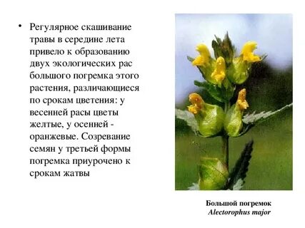 Временная изоляция