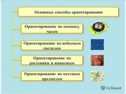 Краткое сообщение один из способов ориентирования