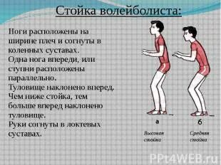 Чем отличается высокая. Основная стойка волейболиста. Низкая стойка волейболиста. Высокая стойка волейболиста. Стойка волейболиста перемещение по площадке.