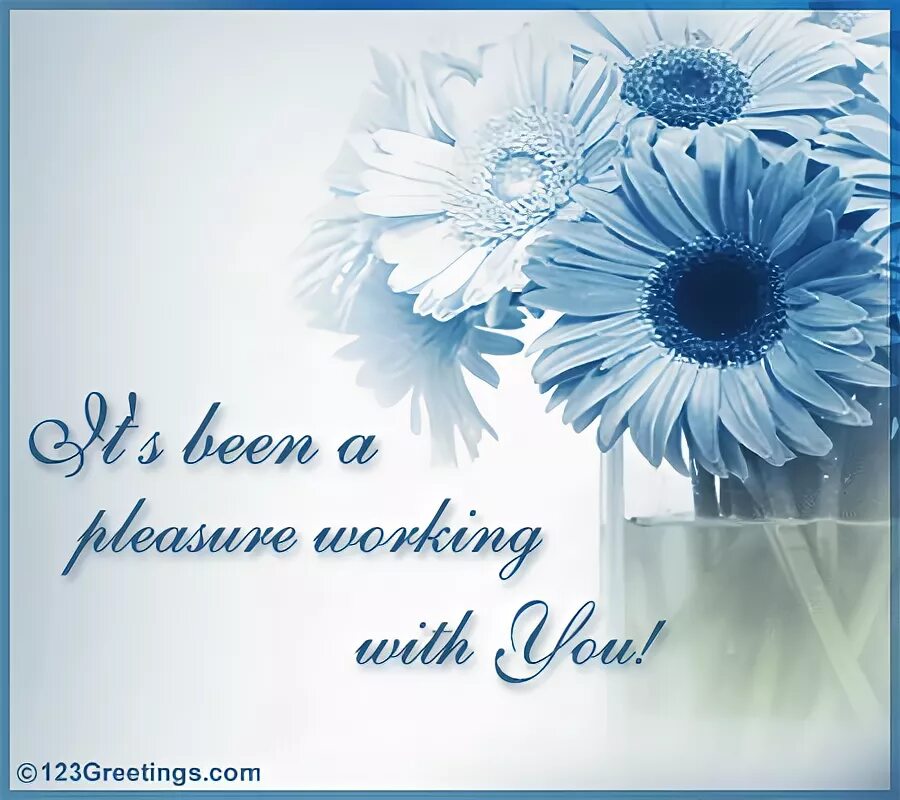 It s been a pleasure