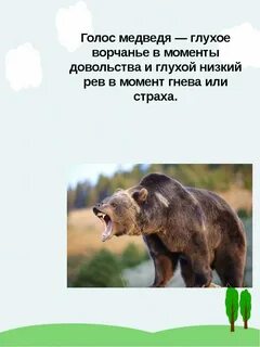 Текст голосом медведя