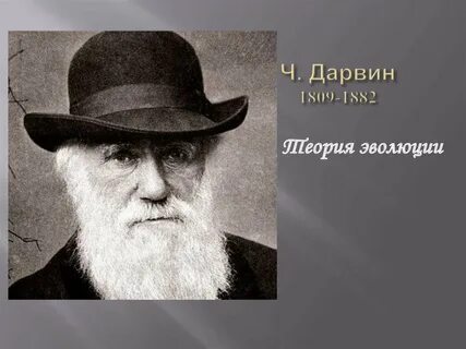Ч дарвин