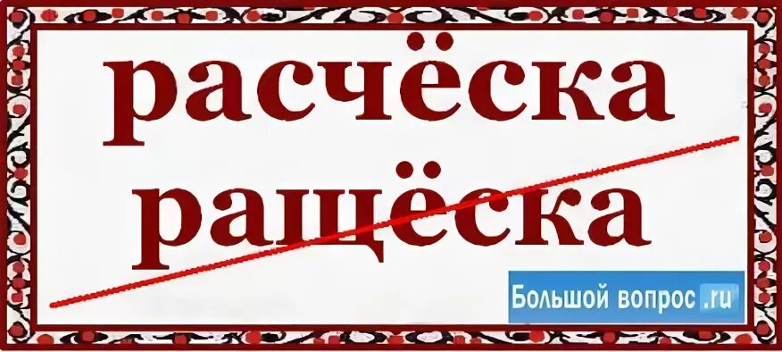 Слово щетка