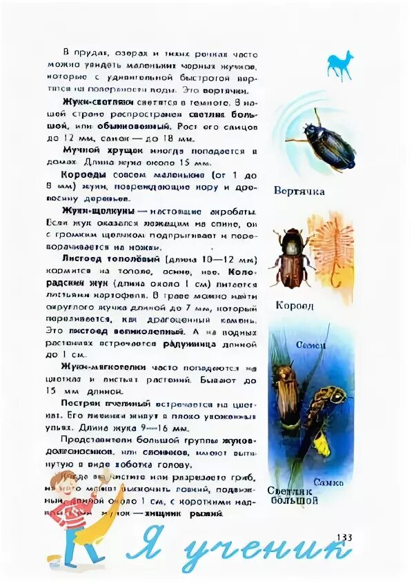 Атлас определитель про пчел ос и шмелей. Атлас определитель осы пчелы шмель. Атлас-определитель от земли до неба 2 насекомые. Атлас определитель осы пчелы шмель. Атлас определитель осы пчелы шмель.