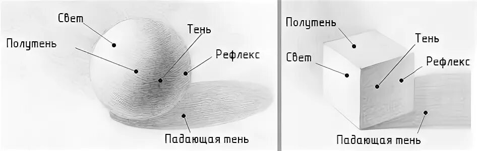 Свет полутень тень рефлекс в рисунке. Схема свет тень полутень рефлекс. Свет тень полутень рефлекс блик в куб. Тень полутень рефлекс. Схема света и тени