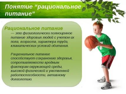 Сохранению работоспособности человека способствует