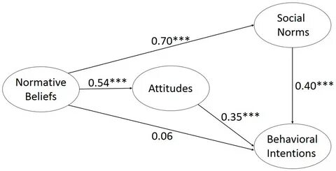 Attitudes and beliefs