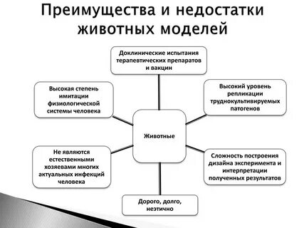 Достоинства и недостатки собак