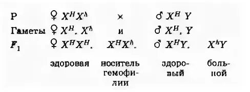 Рецессивные гены кодирующие признаки гемофилии и дальтонизма