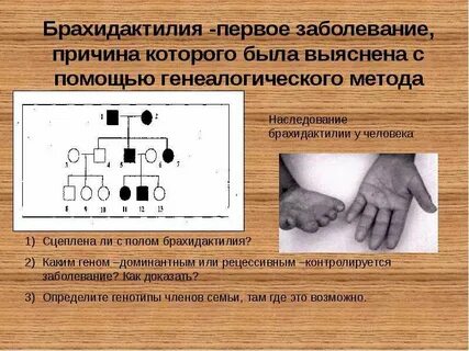Полидактилия доминантный аутосомный