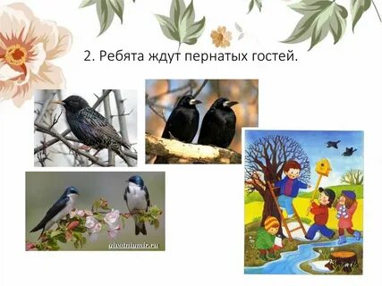Пернатые гости 3 класс