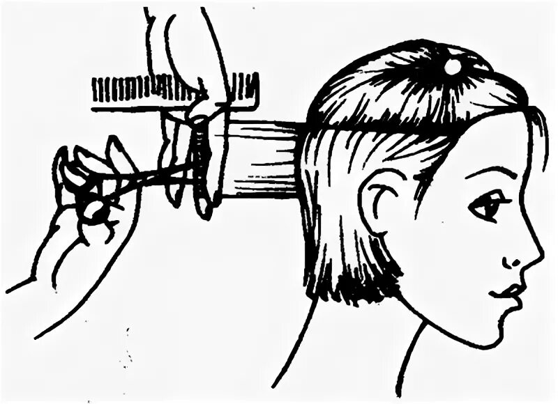 стрижка сессун технология выполнения. стрижка волос прядь на прядь. теменная зона в стрижке. метод прядь на прядь схема. операции стрижки.