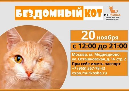 Муркоша