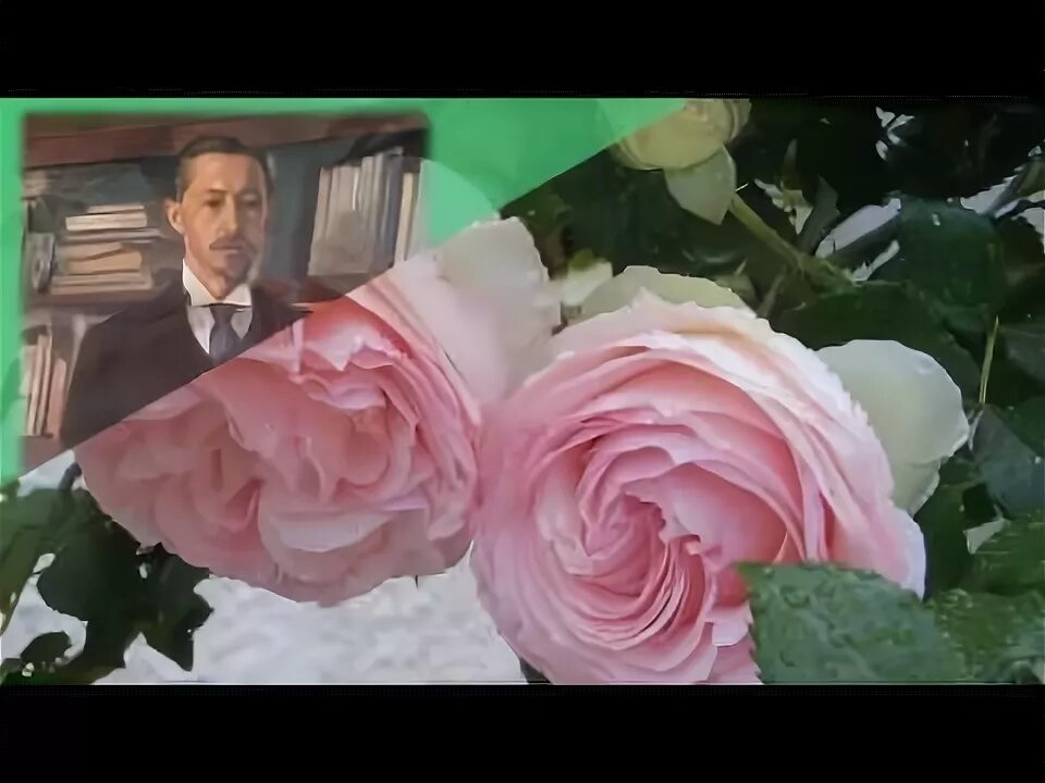 Песни ивана розы. Ivan valeev фото. Песни ивана розы. La fuente de amor eterno картинка. Песни ивана розы.