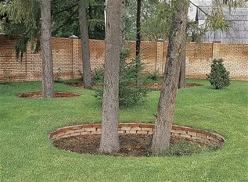 Деревья ниже уровня