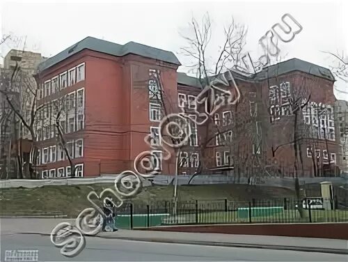 Сайт 498