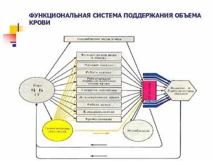 Система поддержания жизни и здоровья
