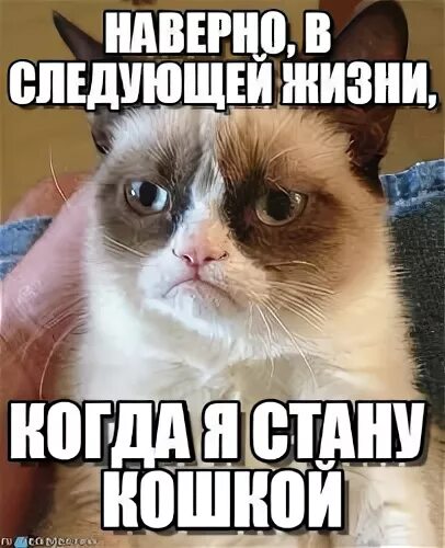 В следующей жизни видимо