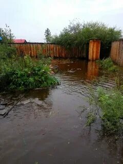 Село шишкино