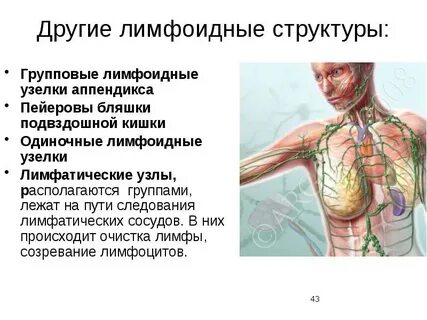 Изменения лимфатических узлов