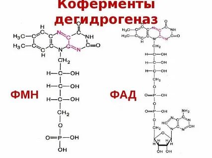 Коферменты связанные с классом оксидоредуктаз