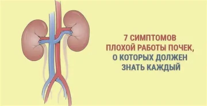 Почему плохие почки