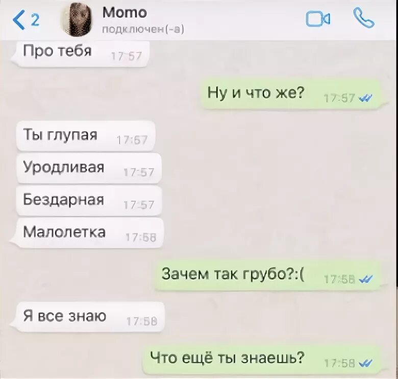 Номер МОМО. МОМО номер телефона. Настоящий номер МОМО настоящий. Переписываться с момо на русском