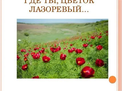 Лазоревый цвет