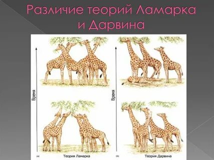 Наглядная разница