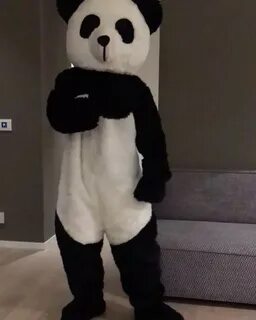Панда танцует видео