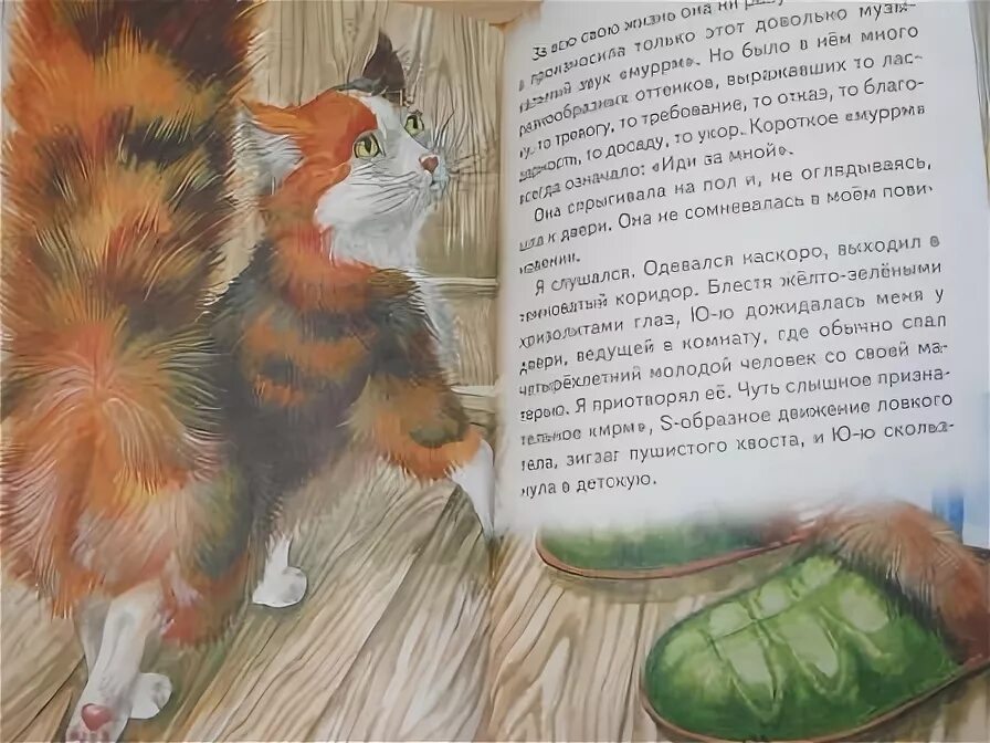Идея рассказа ю ю