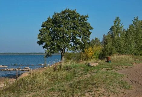 Берег чудского озера