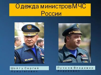Мчс после шойгу