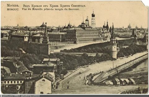 Исчезновение липы в дореволюционной москве связано с
