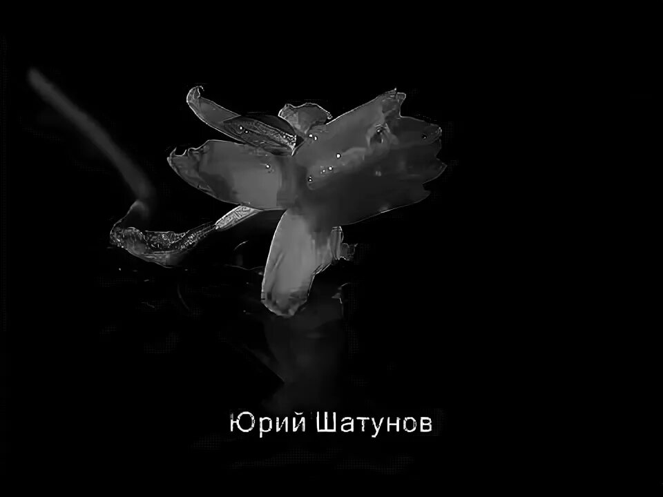 Шатунов песня мама я бросил. Шатунов я бросил курить и ночью бродить. Шатунов песня мама я бросил. Шатунов песня мама я бросил. Шатунов мама клип.