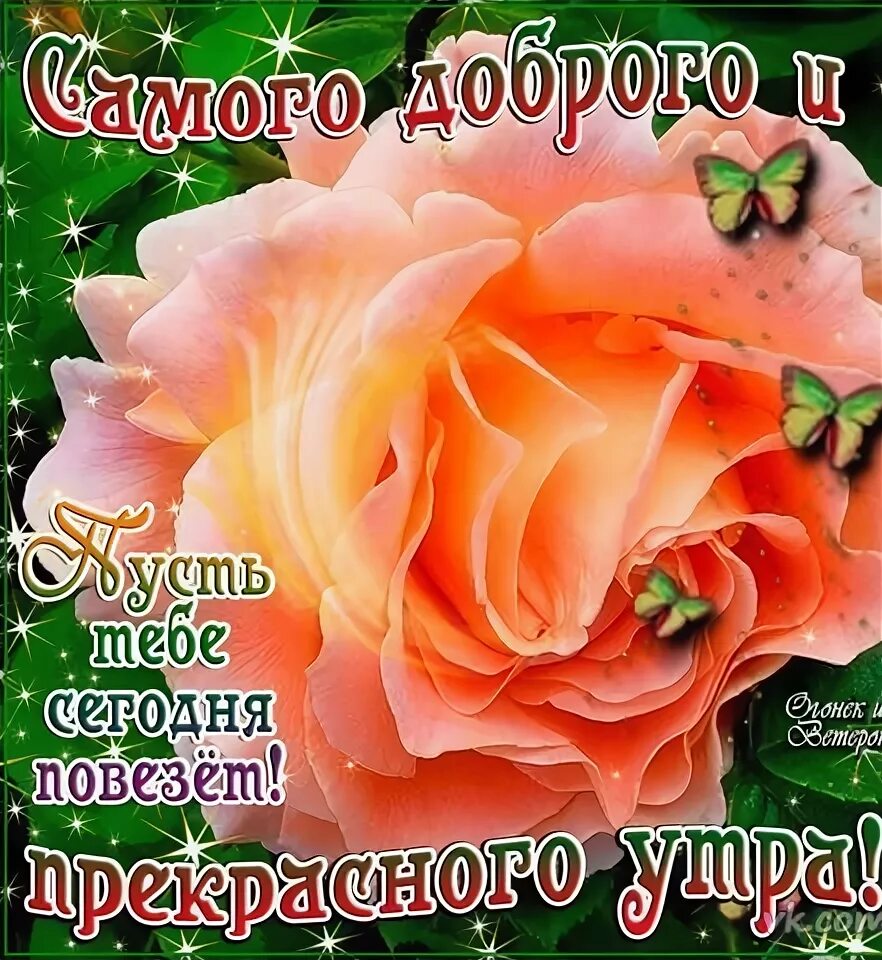 Пусть повезет. Пусть тебе повезет. пусть тебе сегодня повезет. открытка пусть повезет.