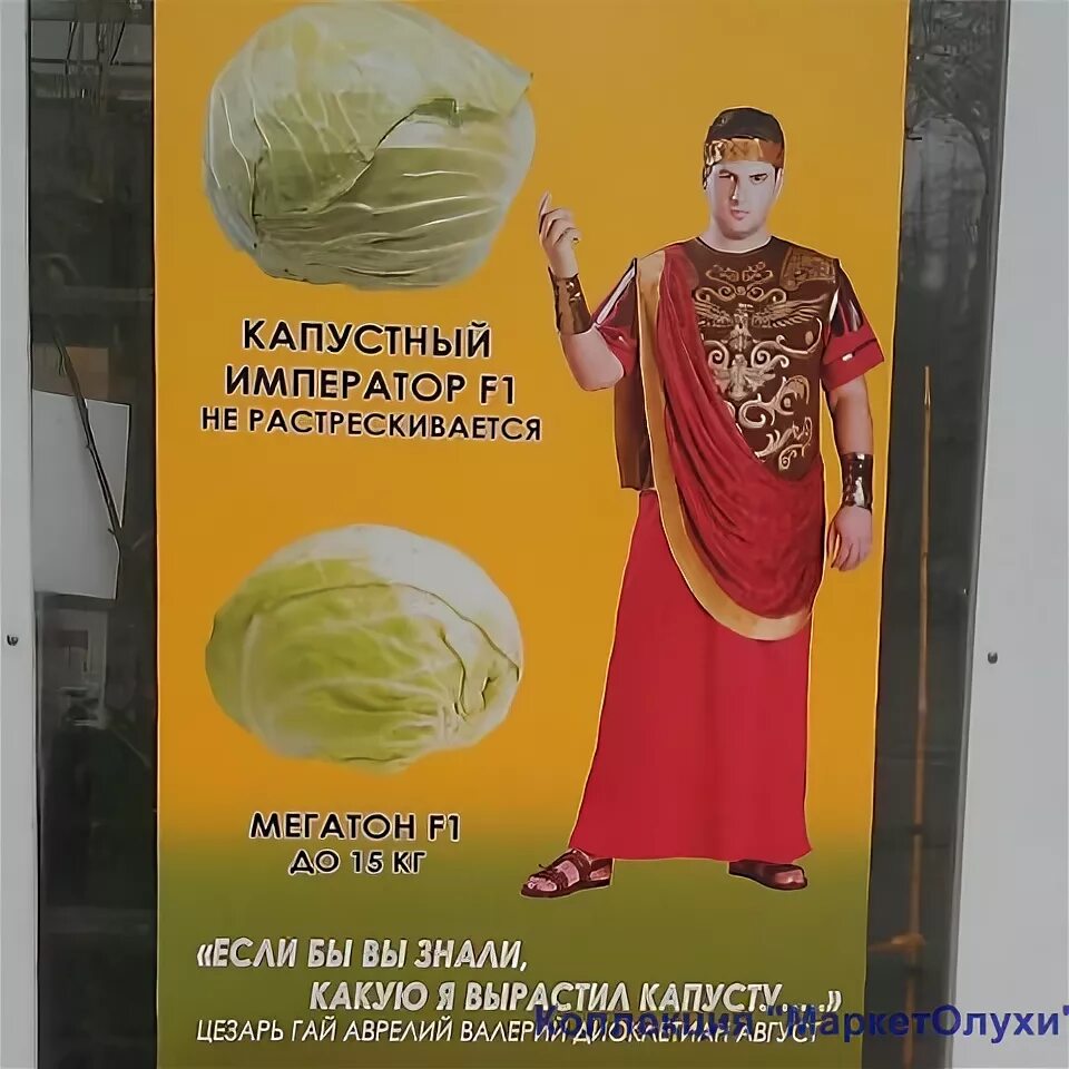 На капусте выросла капуста примета. Император и капуста. Император диоклетиан и капуста. Император и капуста. Выросла капуста считалочка.