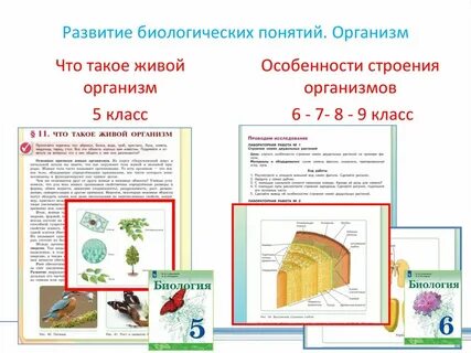 Развитие биологических понятий