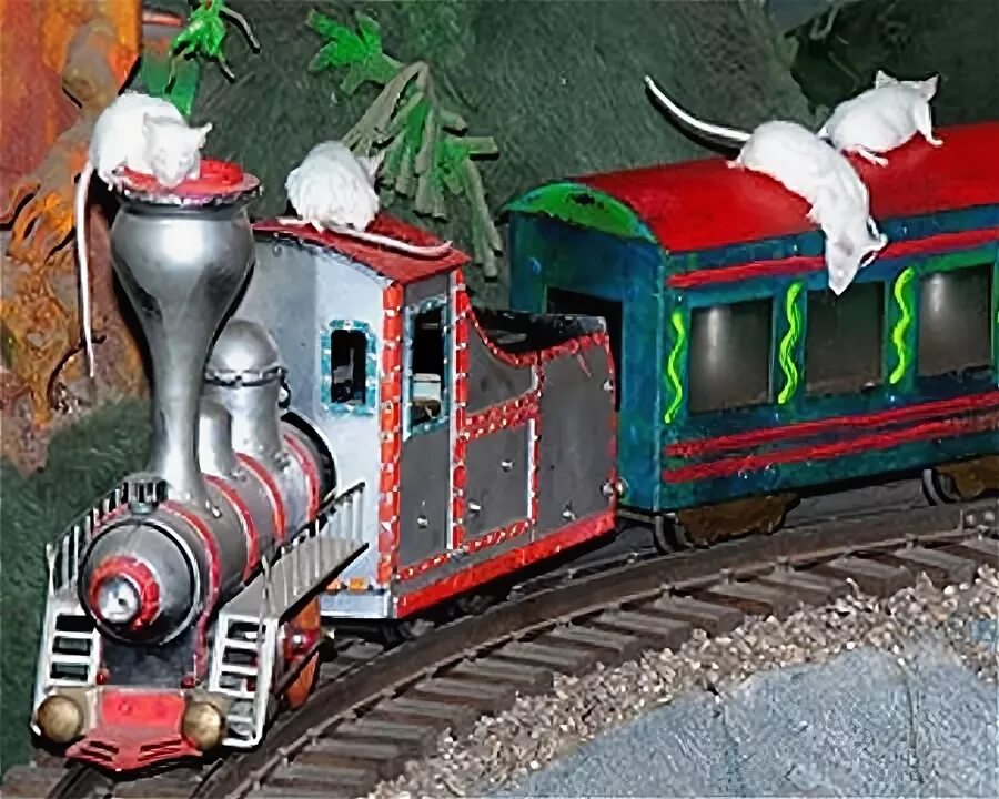 мышь acer omr050. полевка тянь-шаньская. Rodents small pets animation. мышиное представление. щелкунчик 2004 мышильда.