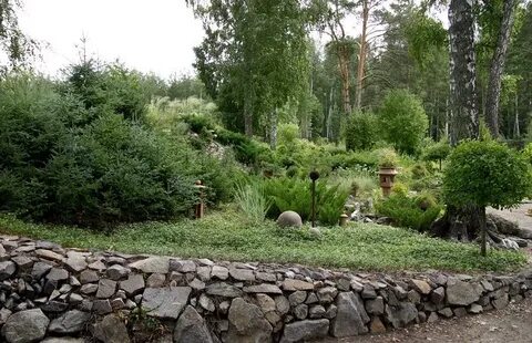 Центральный ботанический сад со ран новосибирск