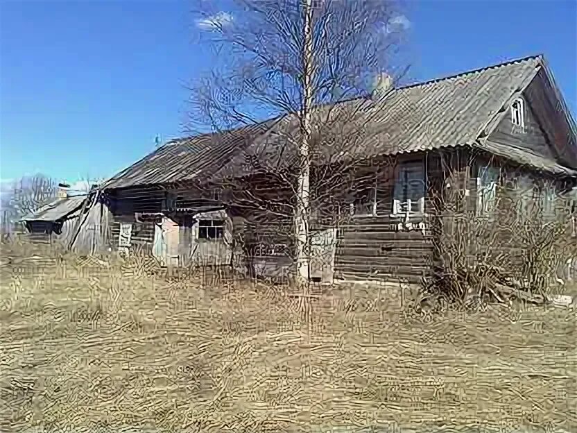 Село липин бор вологодская область. Липин бор вологодская область. Подслушано липин бор. Липин бор. Липин бор вологда.