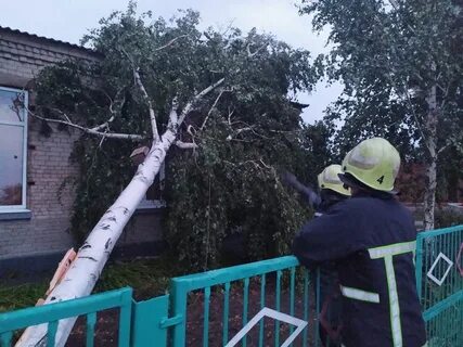 Сила ветра которая валит деревья разрушает строения