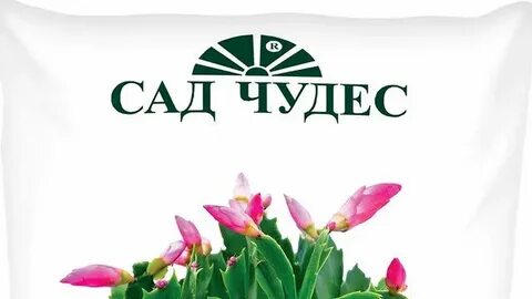Сад чудес екатеринбург
