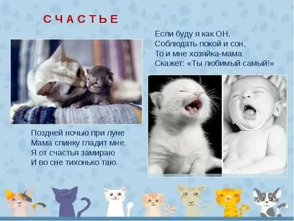 Есть мама у котенка
