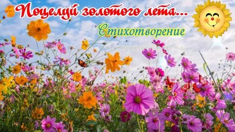 Золотое лето стих