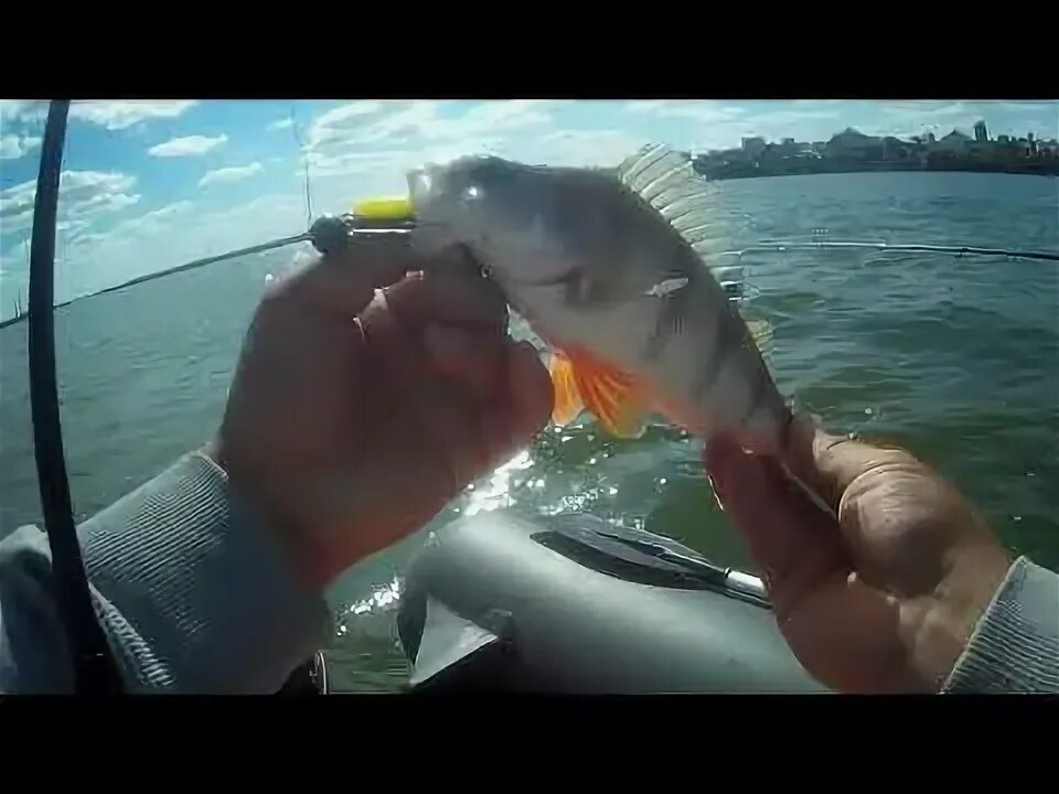 Ловля окуня с лодки видео