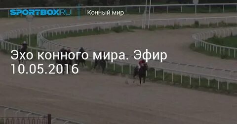 Тв конный мир прямой эфир