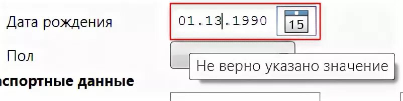 Поле ввода даты рождения. 5. Ввод даты рождения. Поле ввода даты. Поле ввода даты рождения.