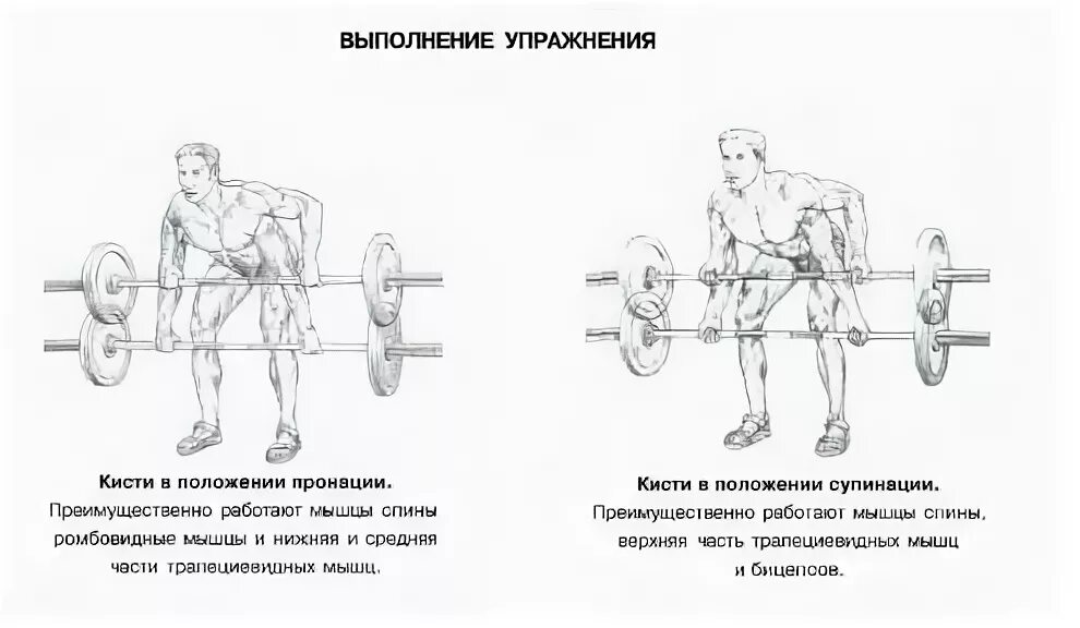 Техника выполнения тяги со штангой. Тяга штанги в наклоне в Смите техника выполнения. Тяга к поясу в наклоне со штангой техника выполнения. Тяга к поясу в наклоне в Смите. Тяга штанги в наклоне агонист.