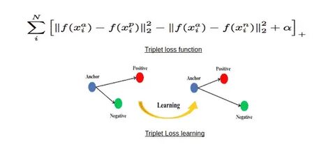Loss function